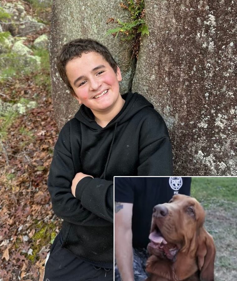 hero dog saves missing boy